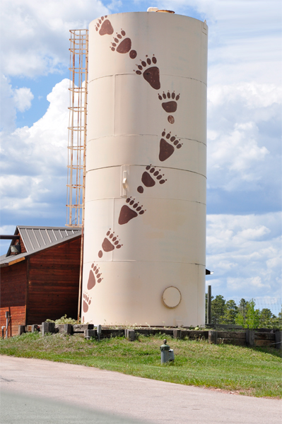 bear footprints on a tower